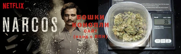 бошки Медногорск