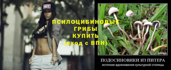 бошки Медногорск