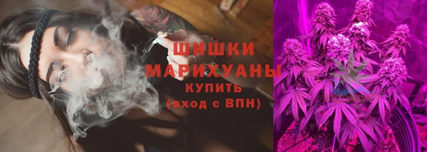mdpv Медвежьегорск