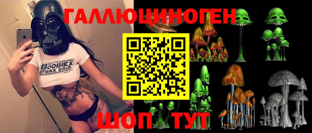 Псилоцибиновые грибы GOLDEN TEACHER  Псилоцибиновые грибы мицелий  Димитровград  Вход с VPN 