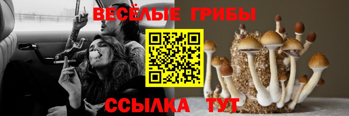 Галлюциногенные грибы мицелий Димитровград